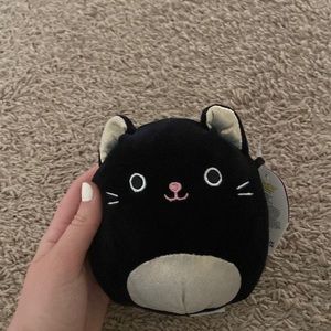 autumn rare halloween black cat squishmallow